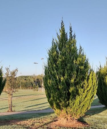 Walnut Creek Park