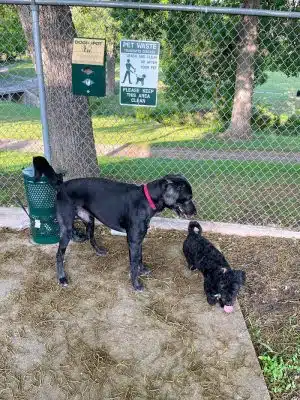 Lancaster Dog Park - Lancaster, TX