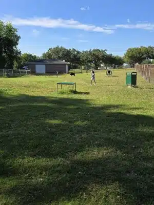 Lancaster Dog Park - Lancaster, TX