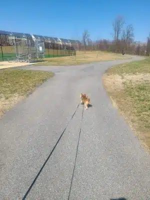 Woodmore Towne Centre Park - Lanham, MD