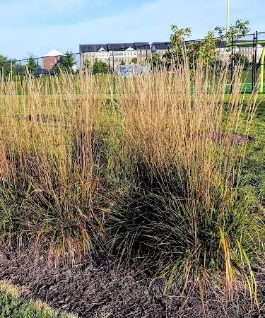 Woodmore Towne Centre Park - Lanham, MD