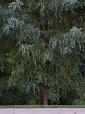 Woodmore Towne Centre Park - Lanham, MD