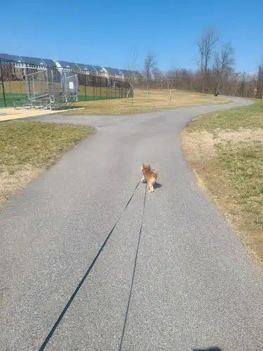 Woodmore Towne Centre Park - Lanham, MD