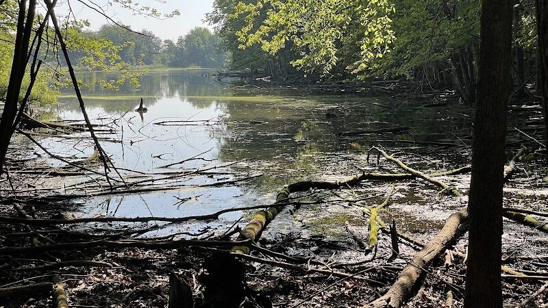Hawk Meadow Park - Lansing,
