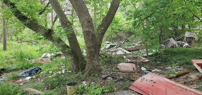 Larch Park - Lansing,