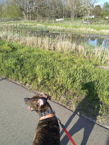 Bancroft Park (North Trailhead)