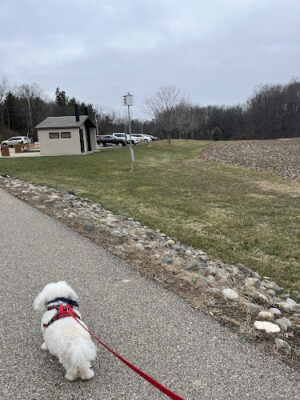 Hawk Meadow Park