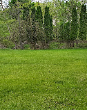 Kimberly Park