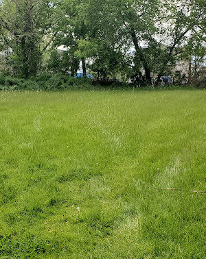 Larch Park