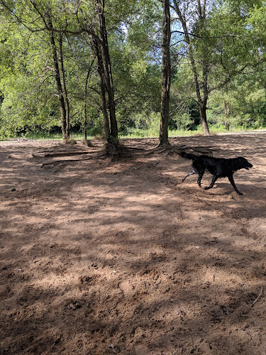 Soldan Dog Park