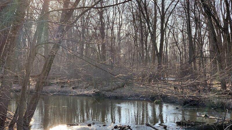 Scott Woods Park - Lansing,