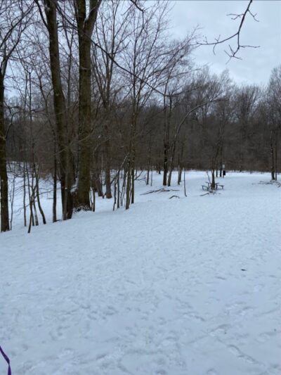 Soldan Dog Park - Lansing, MI