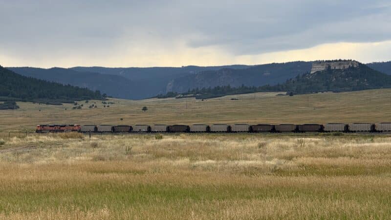 Devon’s Dog Park - Larkspur, CO