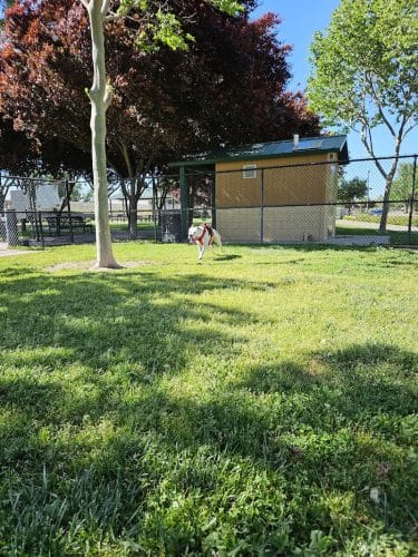 Lathrop Dog Park - Lathrop, CA