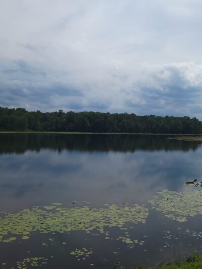 Cash Lake Trail - Laurel, MD