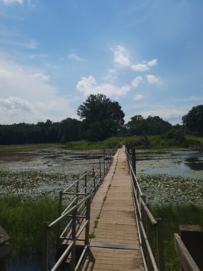 Cash Lake Trail - Laurel, MD