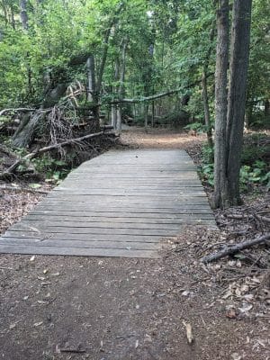 Cash Lake Trail
