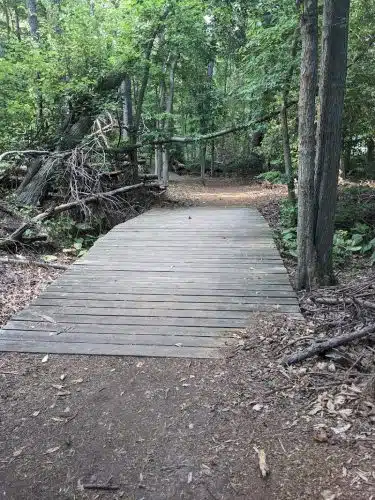 Cash Lake Trail