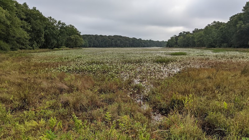 Cash Lake Trail - Laurel, MD