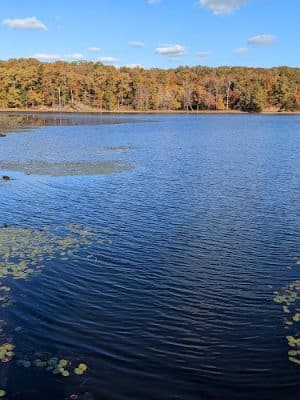 Cash Lake Trail