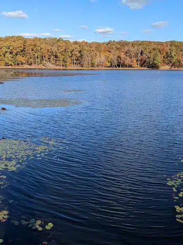 Cash Lake Trail