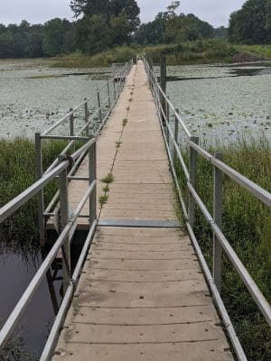 Cash Lake Trail