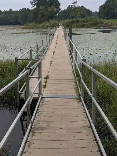 Cash Lake Trail