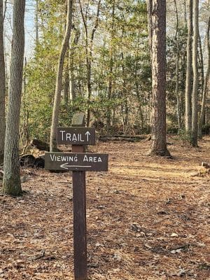 Cash Lake Trail