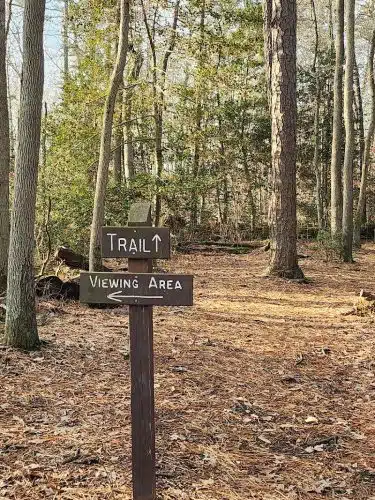 Cash Lake Trail