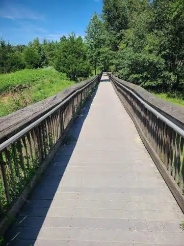 Cash Lake Trail