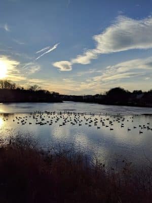 Granville Gude Park