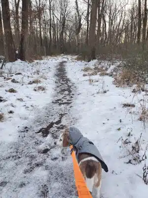 Hammond Park
