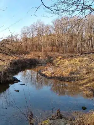 Hammond Park