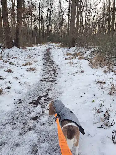 Hammond Park