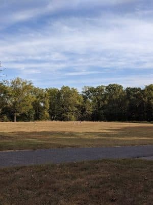 High Ridge Park