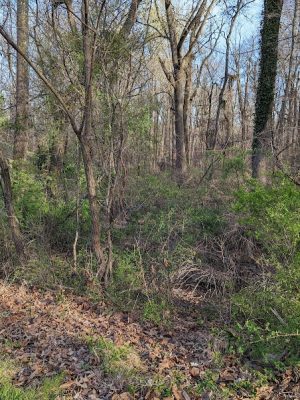 High Ridge Park