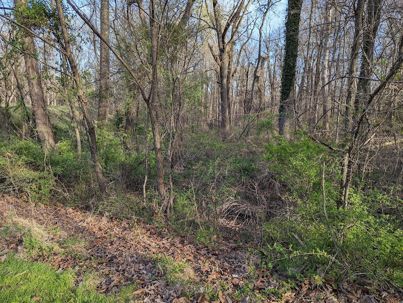 High Ridge Park - Laurel, MD