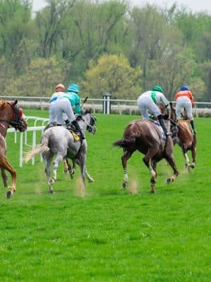 Laurel Park