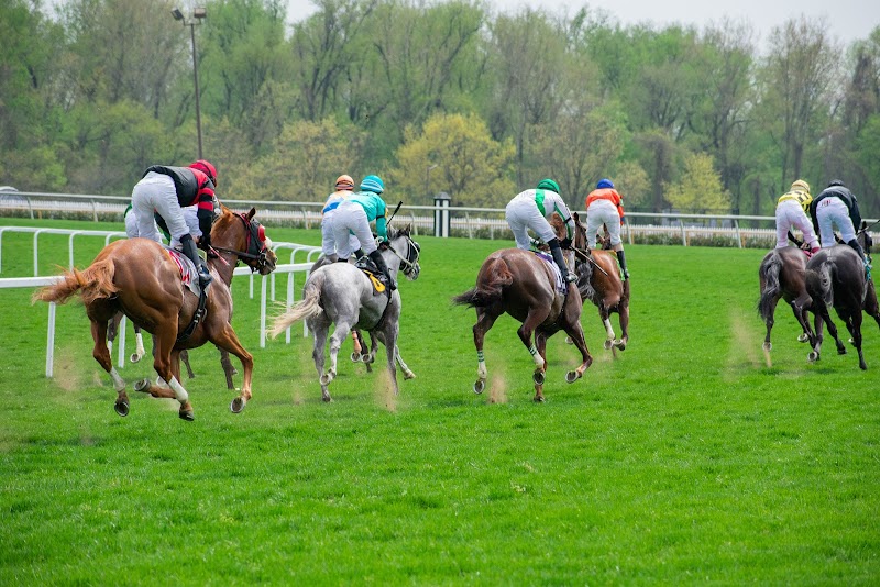 Laurel Park - Laurel, MD