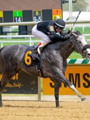 Laurel Park