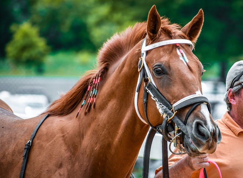 Laurel Park - Laurel, MD