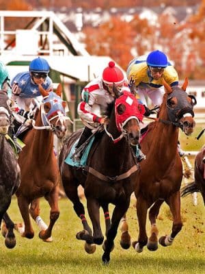 Laurel Park