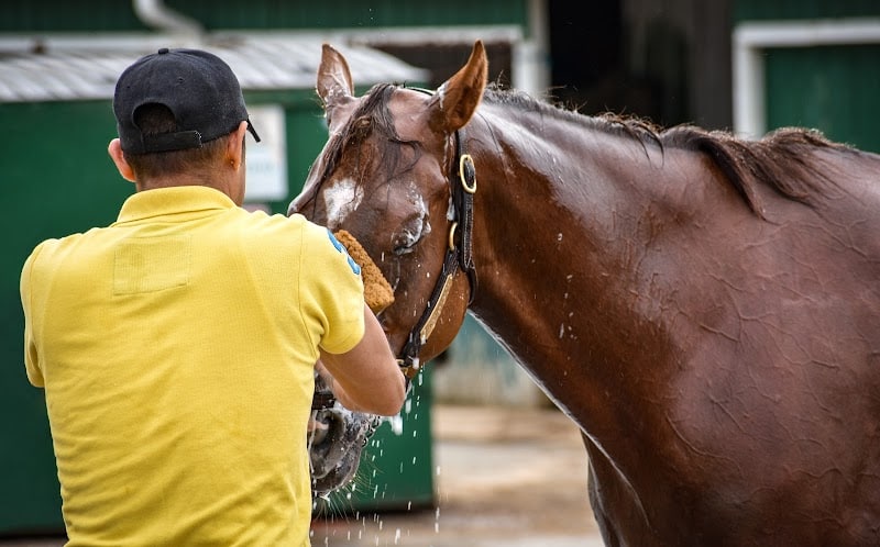 Laurel Park - Laurel, MD