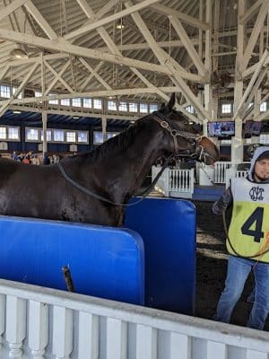 Laurel Park
