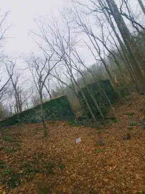 Laurel Riverfront Park