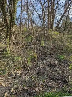 Laurel Riverfront Park