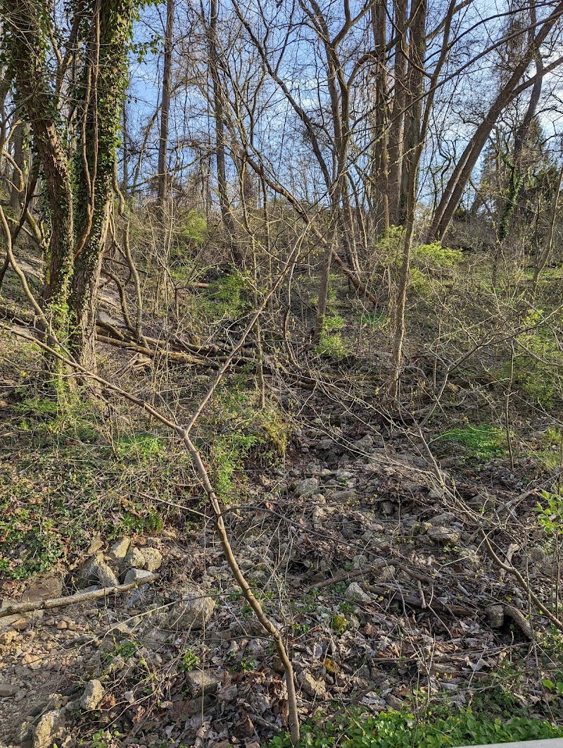Laurel Riverfront Park - Laurel, MD