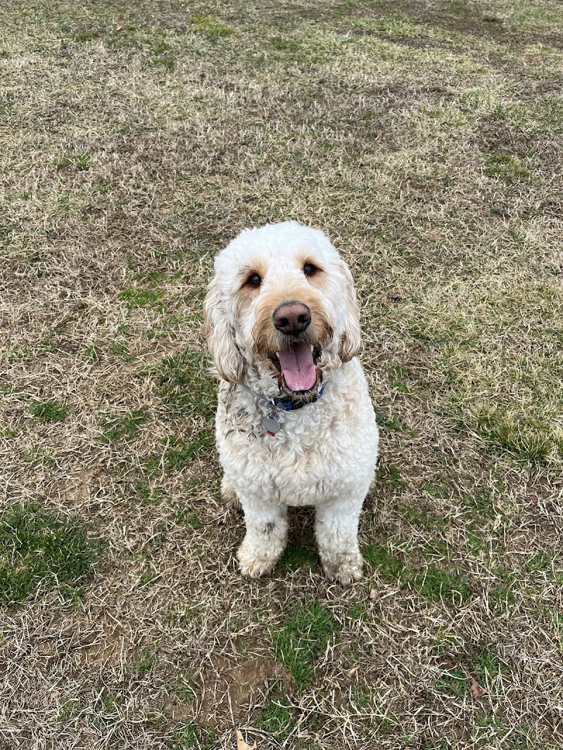Maryland City Park - Laurel, MD