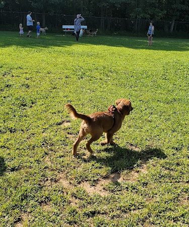 Maryland City Park
