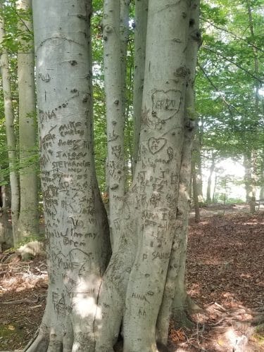 Pheasant Run Community Park